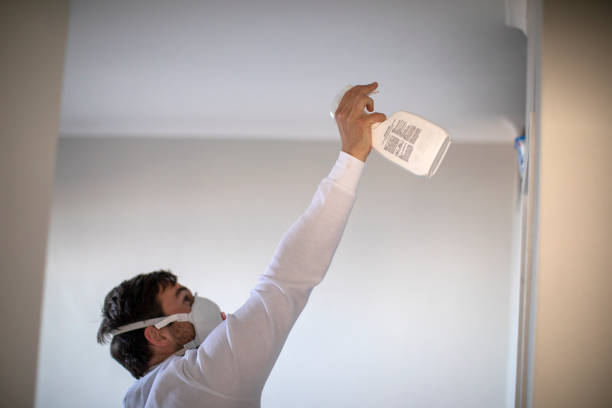Best Mold Testing  in Lake Shore, MN