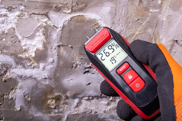 Best Crawl Space Mold Removal  in Lake Shore, MN